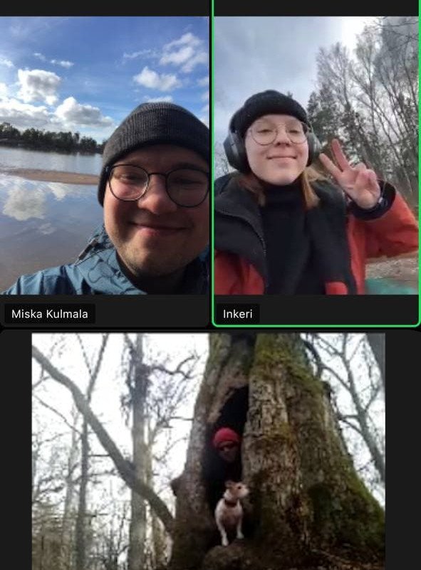 RetkiTMK:n yhteiskuva ontolla puulla